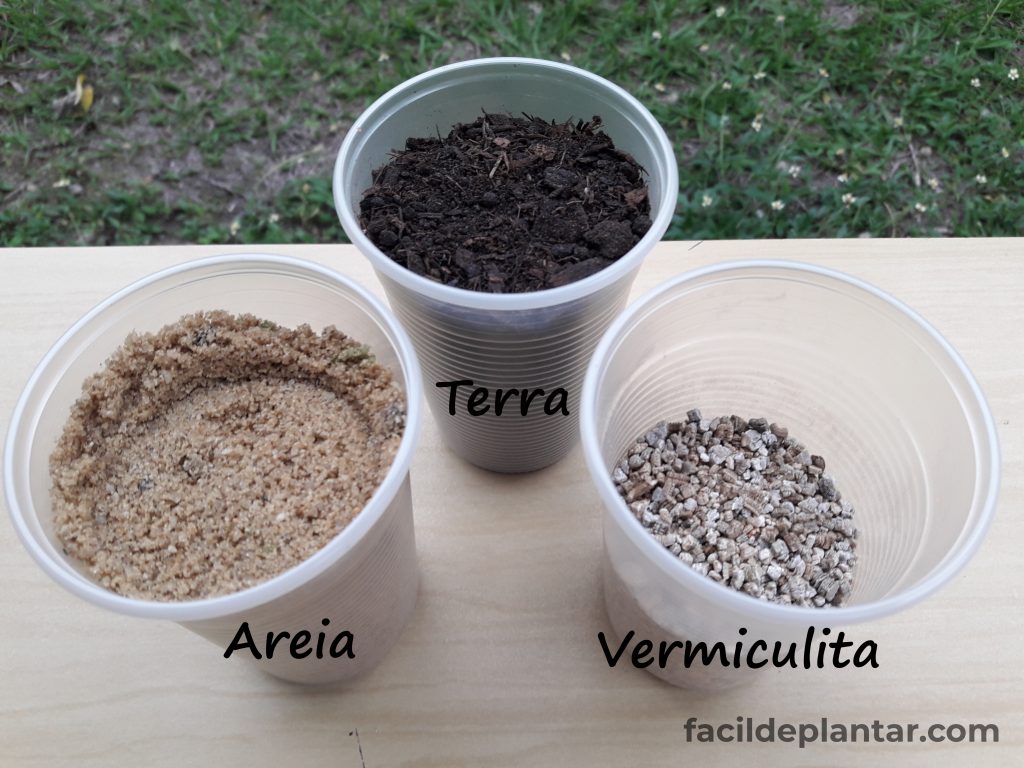 comoprepararsubstratoparasuculentas 1024x768 - Como Preparar Substrato para Suculentas e Cactos | Guia Completo