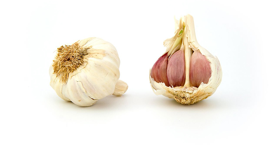 garlic 1808 1 1 - Como Plantar ALHO em Casa | Do Plantio à Colheita